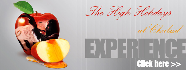 hh-banner-1.jpg